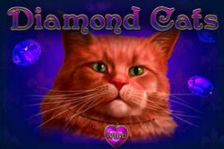 Diamond Cats